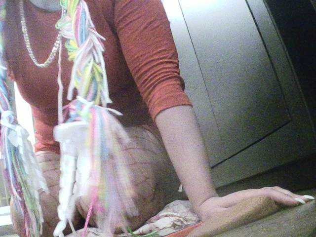 Емитовање снимка екрана Alice4U