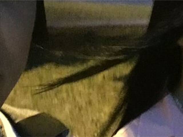 Емитовање снимка екрана Alinamax2