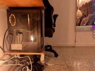 Еротски видео цхат amina-west