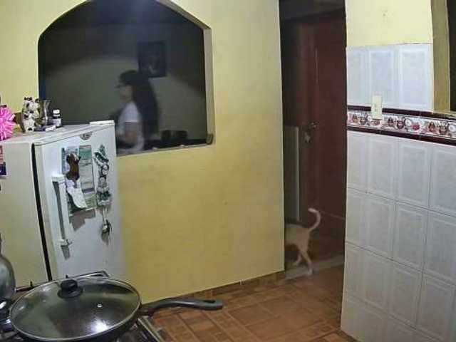 Емитовање снимка екрана anyqueen