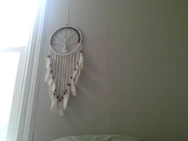 Емитовање снимка екрана AriaLeea