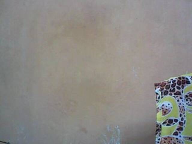 Емитовање снимка екрана sofiawalker