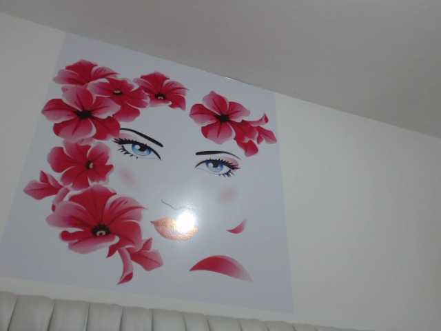 Емитовање снимка екрана Camirous