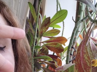 Еротски видео цхат Crazycouple8