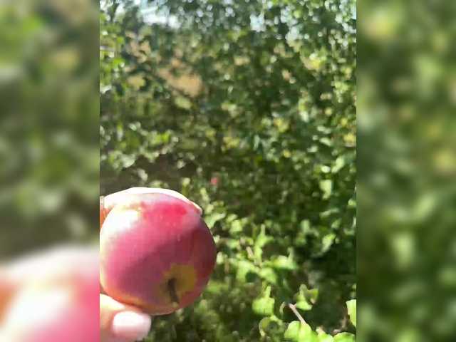 Емитовање снимка екрана SSaibaliii