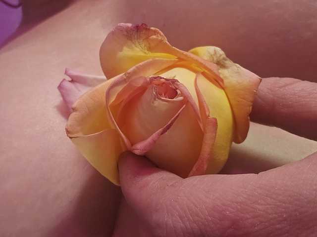 Слика профила Delicious-Dahlia