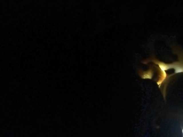 Емитовање снимка екрана Dellis