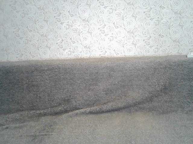 Емитовање снимка екрана ElegantBlonda