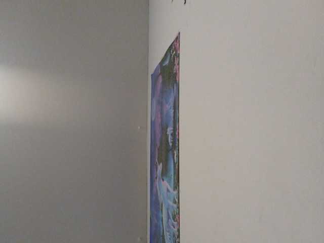 Емитовање снимка екрана GlazinD