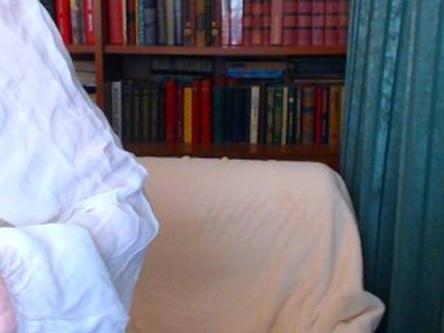 Емитовање снимка екрана KassiaDinn