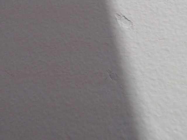 Емитовање снимка екрана Katithompson