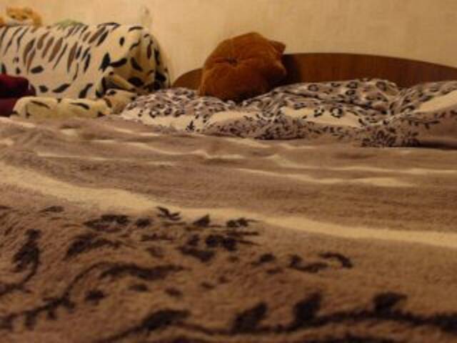 Емитовање снимка екрана LisBlackVlady