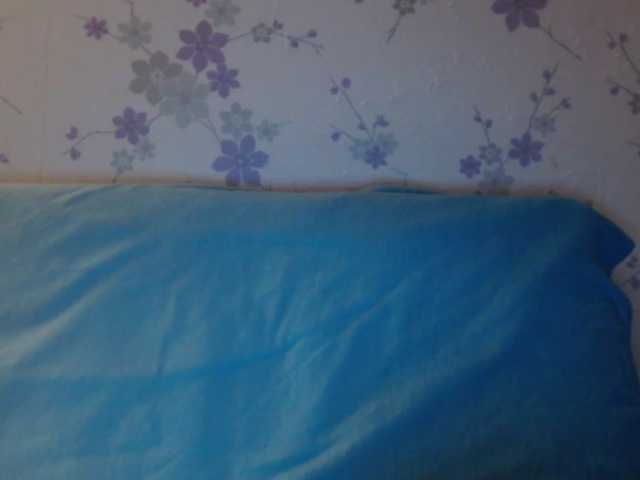 Емитовање снимка екрана littledevi