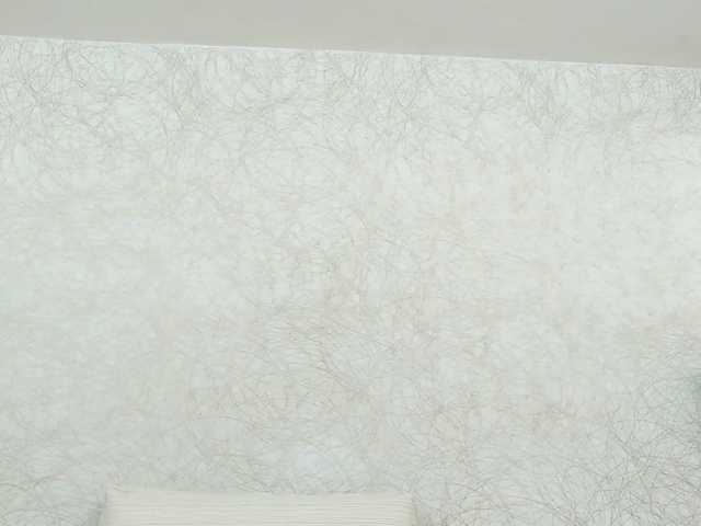 Емитовање снимка екрана LuisaTrujillo