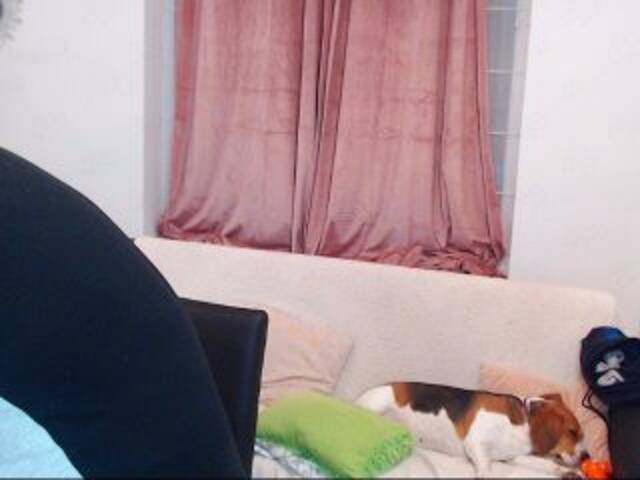 Емитовање снимка екрана MaxGACouple