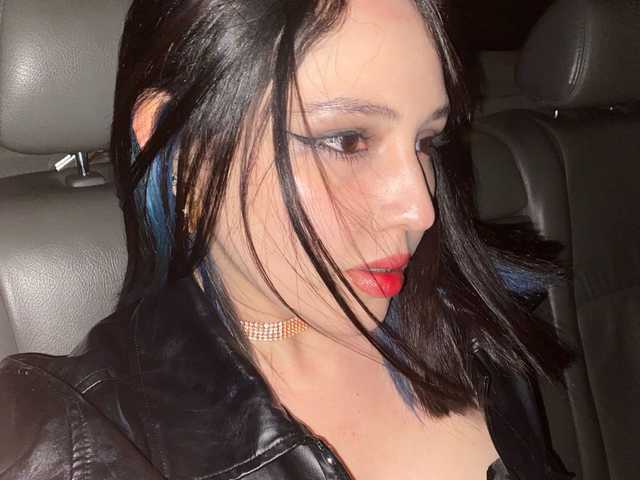 Слика профила meko-hzu