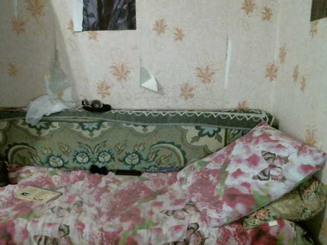 Емитовање снимка екрана kar0linaa666