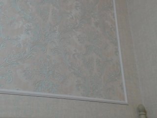 Емитовање снимка екрана _Noele_