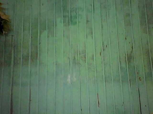 Емитовање снимка екрана Princia2