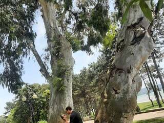 Еротски видео цхат PUPI-DEL-REY