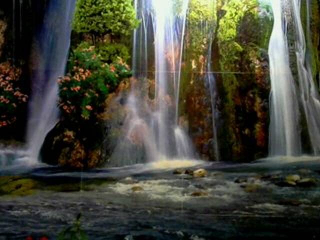 Емитовање снимка екрана regiha