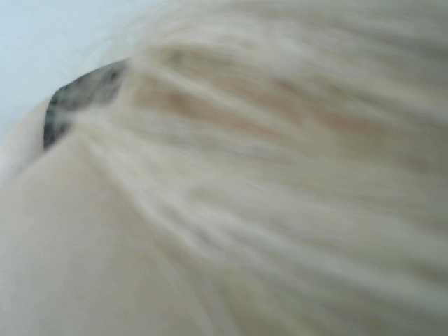 Емитовање снимка екрана SAASHAA11