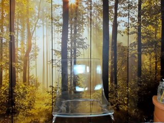 Еротски видео цхат SatyneQueen