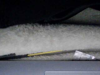 Еротски видео цхат sexysapphiresweet