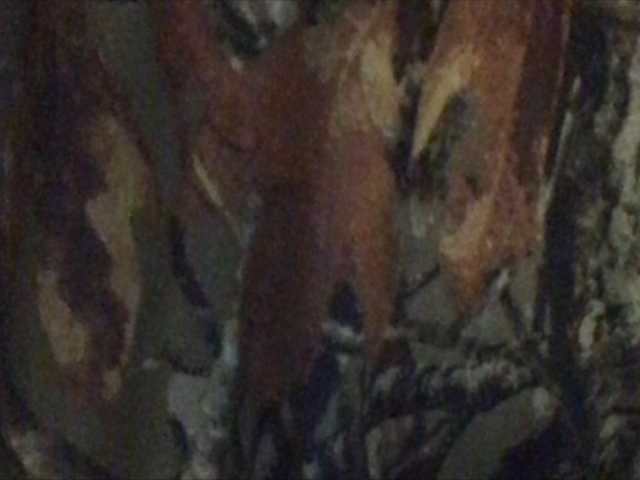 Емитовање снимка екрана shawtyyredd