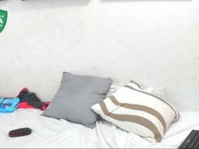 Емитовање снимка екрана sheetchloe