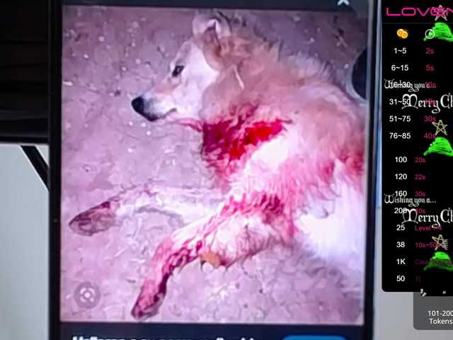 Емитовање снимка екрана sofiaclaus