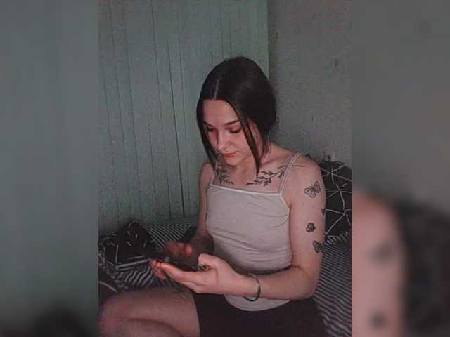 Емитовање снимка екрана Stasia533