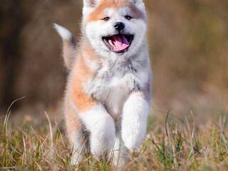 Еротски видео цхат Val309a