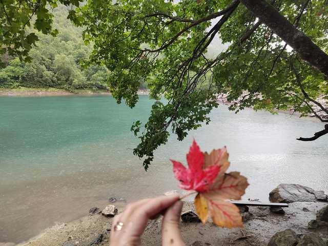 Слика профила _GoodGirl_