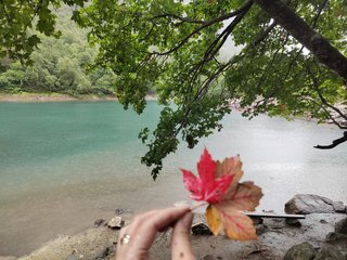 Еротски видео цхат _GoodGirl_