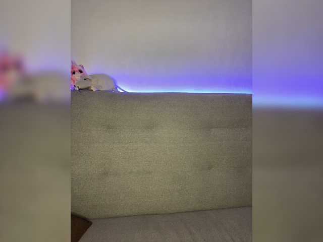 Емитовање снимка екрана Wulka